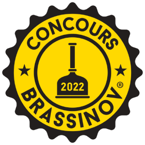 logo-BRASSINOV-couleur_page-0001-removebg-preview